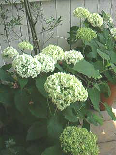 f0103304_21541783.jpg