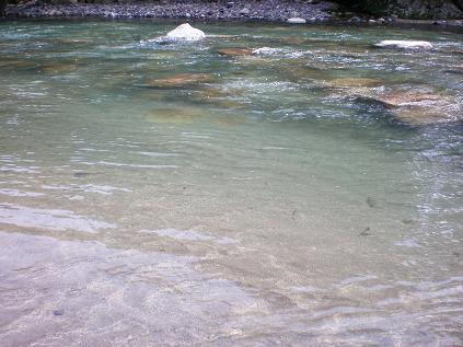 c0087305_9174110.jpg