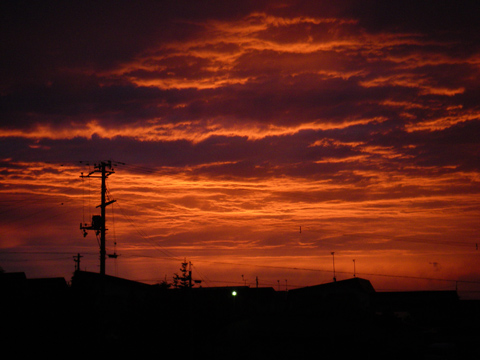 d0051707_17562056.jpg