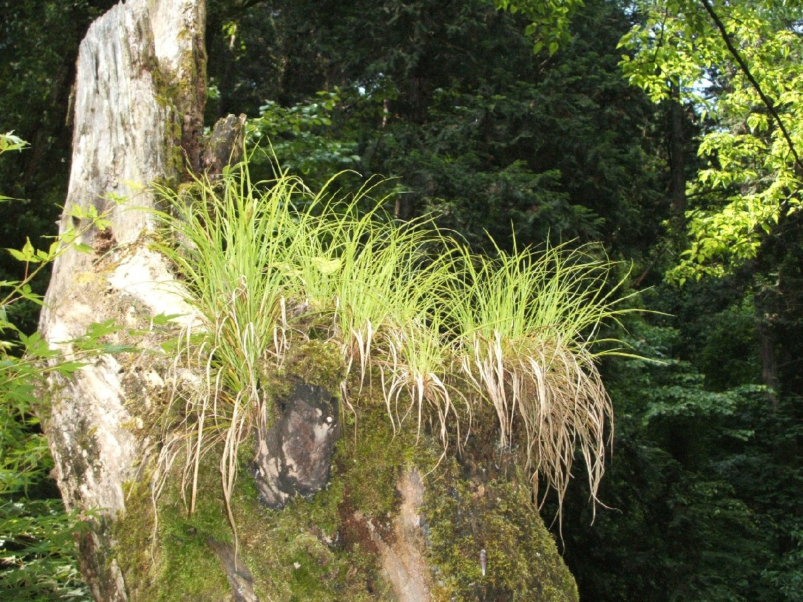b0061010_19543699.jpg