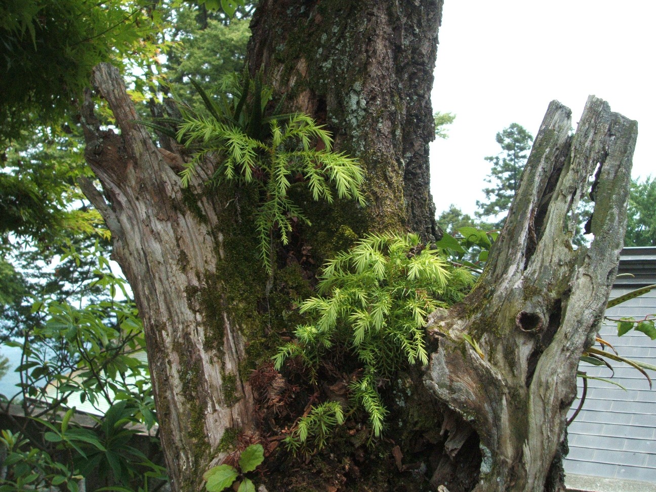 b0061010_1955251.jpg