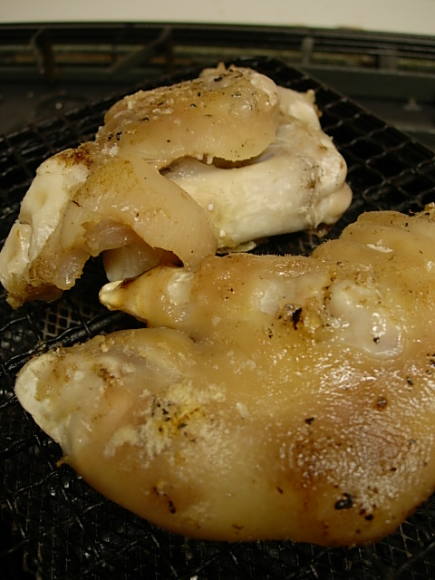 e0005411_10285214.jpg