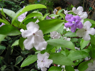 f0128723_0134062.jpg