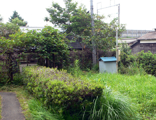 f0060424_13133416.jpg