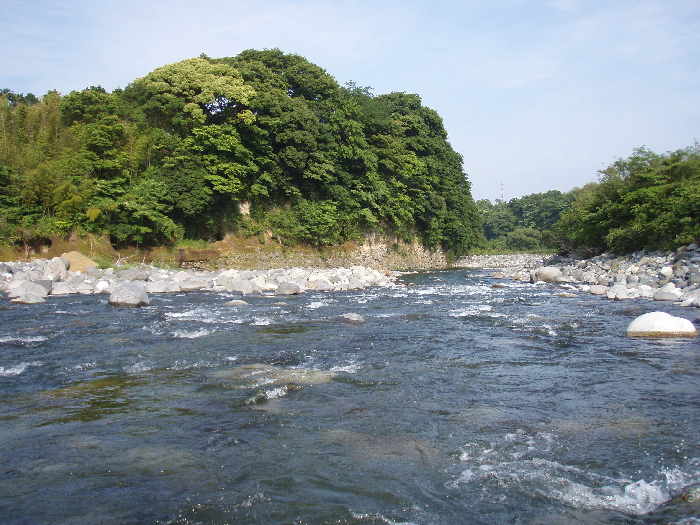 f0103126_2105489.jpg