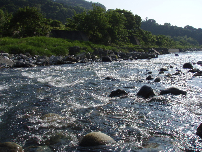 f0103126_2111626.jpg