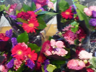 c0139527_71880.jpg