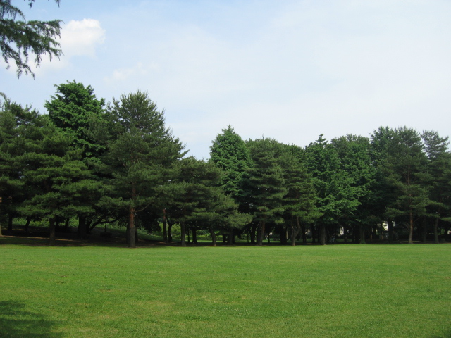 b0088037_21442299.jpg