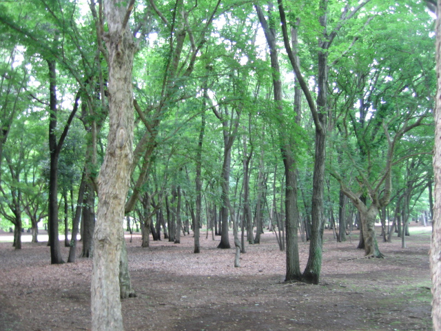 b0088037_21452954.jpg