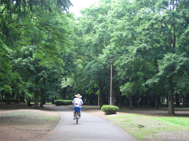 b0088037_21455288.jpg