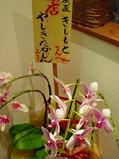 c0056437_15561696.jpg