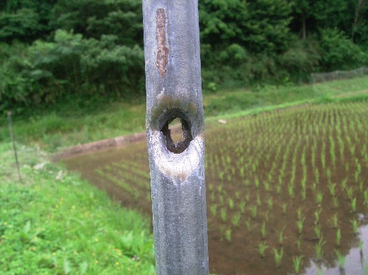 c0072843_22143048.jpg