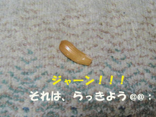 c0033145_15252672.jpg