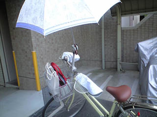 f0116546_22502817.jpg