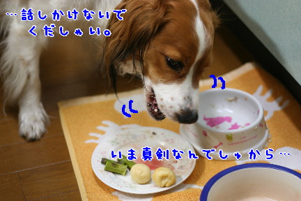 d0013149_10572817.jpg