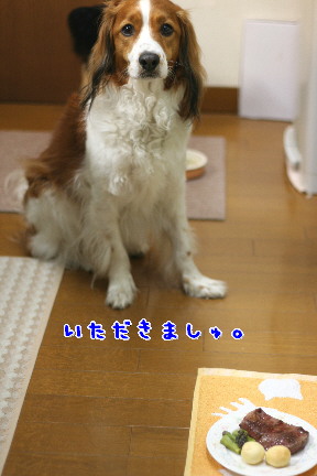 d0013149_9295123.jpg