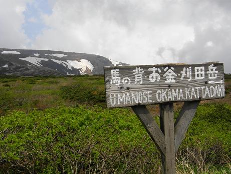 c0145250_1053910.jpg