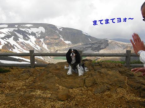 c0145250_1123451.jpg