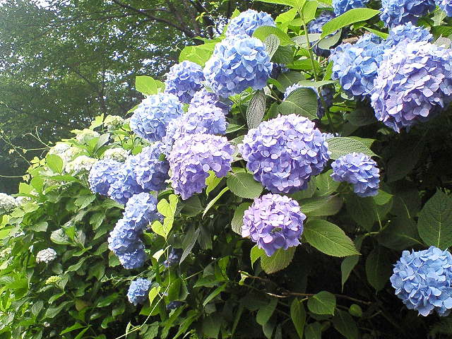 b0021251_13212967.jpg