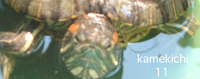 f0176353_165587.jpg