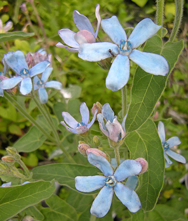 a0001354_17574068.jpg