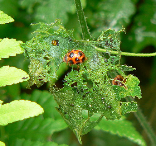 d0091754_19252058.jpg