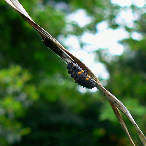 d0091754_23122221.jpg