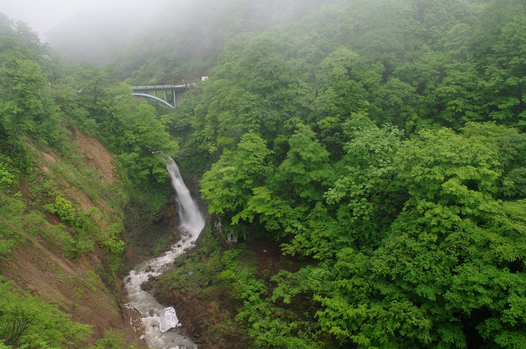 f0033856_1551911.jpg