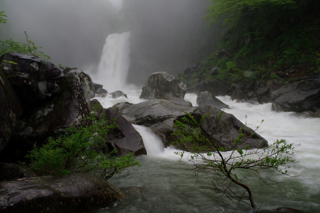 f0033856_1595461.jpg