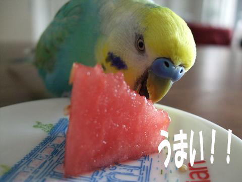 f0149057_12193187.jpg