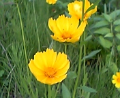d0113758_20165165.jpg