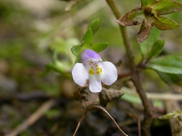 b0104861_21103834.jpg