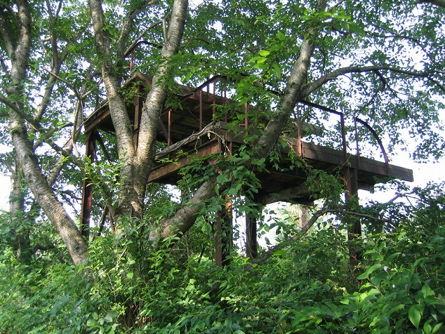 f0174373_18131430.jpg