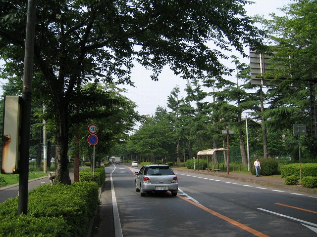 f0174373_18255585.jpg