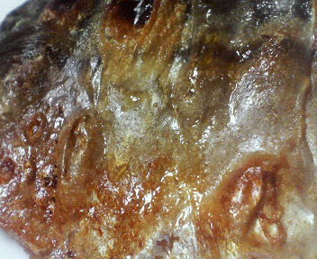d0056881_21223494.jpg