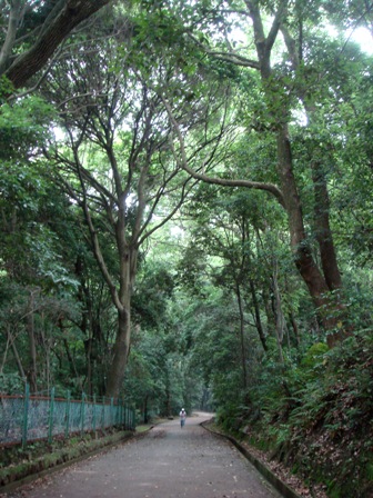 e0111793_22245831.jpg