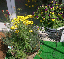 b0032694_663795.gif