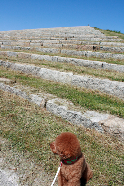 f0001895_18384146.jpg