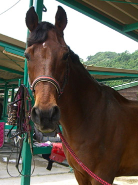 a0045697_21252135.jpg