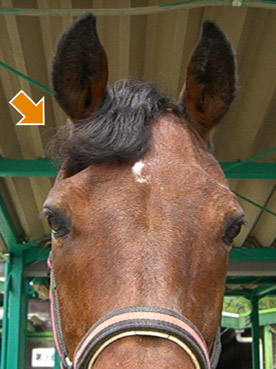 a0045697_21262576.jpg