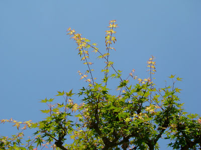 a0047200_17572633.jpg
