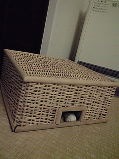 c0035001_17132492.jpg