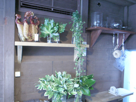 d0100502_8365931.jpg
