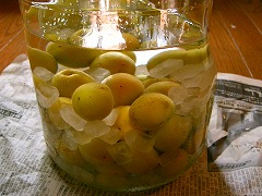 e0012808_416597.jpg