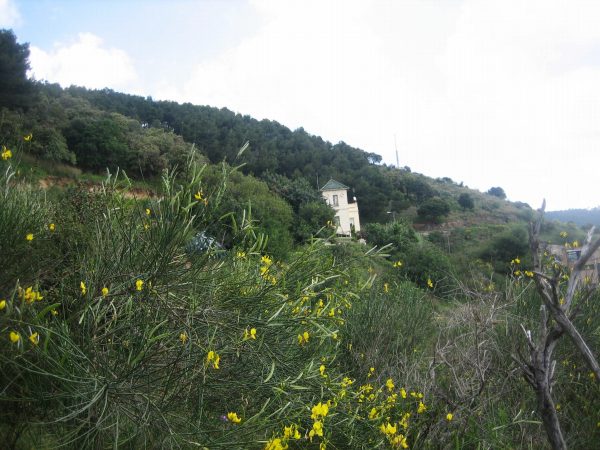 b0064411_16121255.jpg
