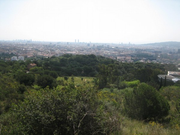 b0064411_1672044.jpg