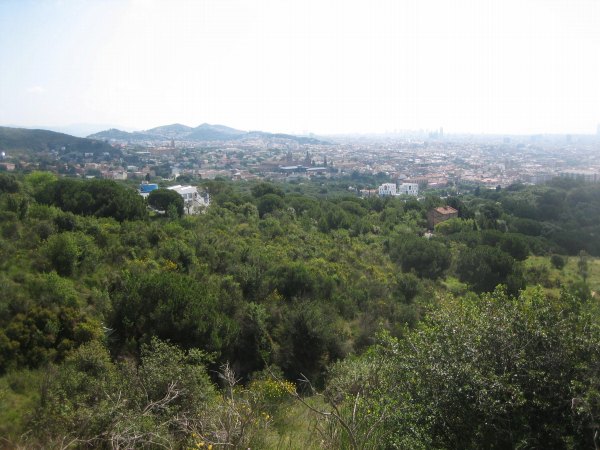 b0064411_167545.jpg