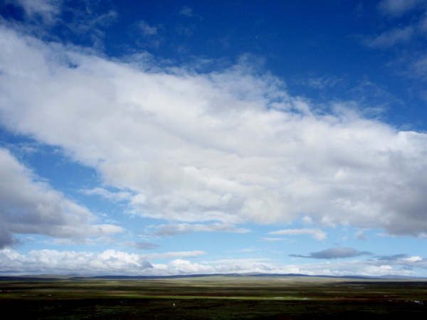 f0115214_1645557.jpg
