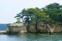 d0111216_2342451.jpg