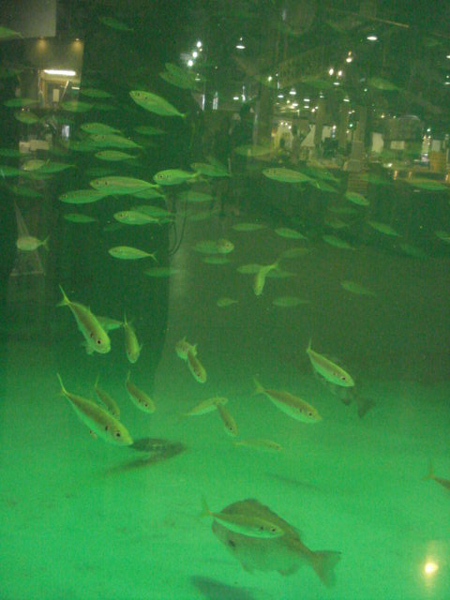 e0110719_22192745.jpg